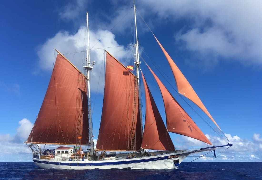 newcastle ship